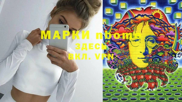 дмт Болотное