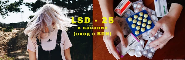 ECSTASY Абаза